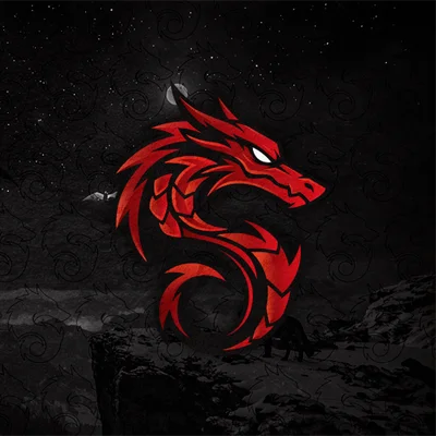 Dragon Logo
